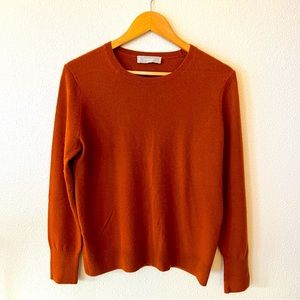 Everlane The Cashmere Classic Crew Sweater in Rust